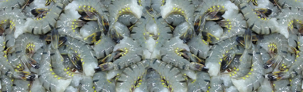banner_1